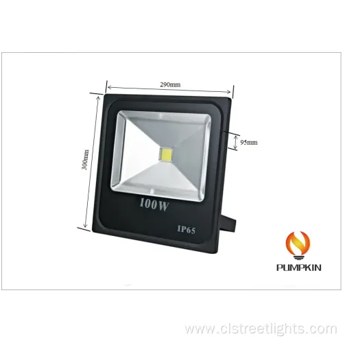 Quality Assurance IC Driver 100W LED Flood Light